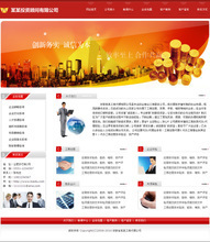 打造专业商务门户 最新最全咨询公司网站源码与产品参考信息解决方案