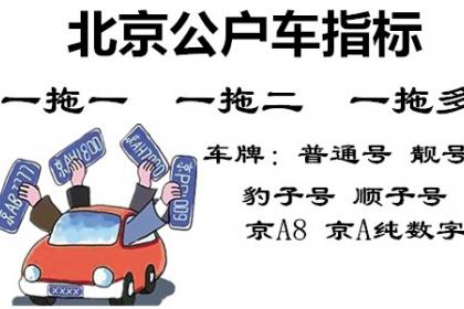 解码产品信息 信息咨询如何助力精准决策