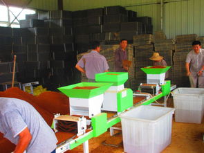 枞阳县育秧工厂 科技减灾与商务信息服务的创新实践